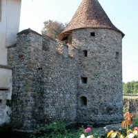 DSCF7136